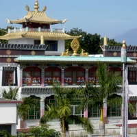 View of the Main Shrine Room at Mindrolling Monastery