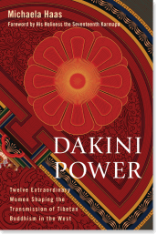 Dakini Power book cover