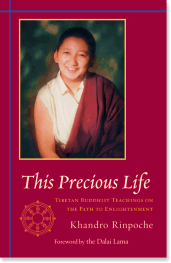 This Precious Life - Book cover