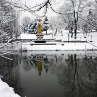 Winter view of Lotus Garden