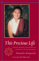 This Precious Life bookcover