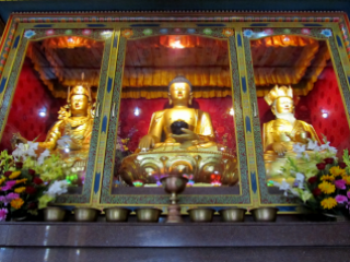 centres-strc-shrine