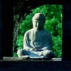 Buddha of the kyudo shrine