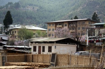 View of Thimpu from hotel.