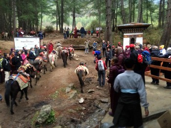 Jets&uuml;n Khandro Rinpoche with hikers and mules at the base of Taktsang.