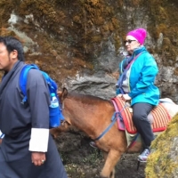 Donna Keck travels the first part of the journey on one of the  pack mule.