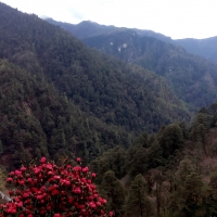 View from the temple at Chumphung Nye—'Land of the Dakinis'