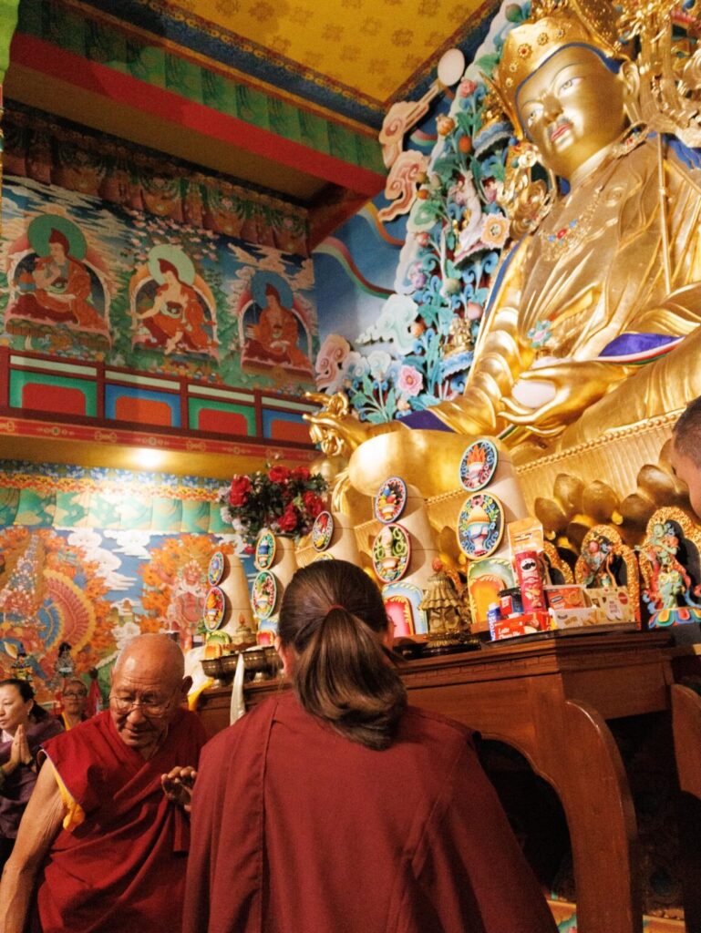 WhatsApp Image 2026-04-03 at 10.55.16 PM (1)